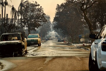 Palisades Wildfire Raging Through California’s Coastal Landscape – Thick Smoke and Scorched Terrain in Los Angeles Wildfire Disaste