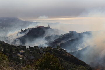 Palisades Wildfire Raging Through California’s Coastal Landscape – Thick Smoke and Scorched Terrain in Los Angeles Wildfire Disaste