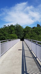 bridge over the river