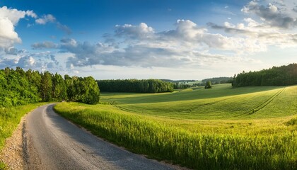 Fototapeta premium winding country road between fields on the edge of the forest beautiful summer panoramic landscape