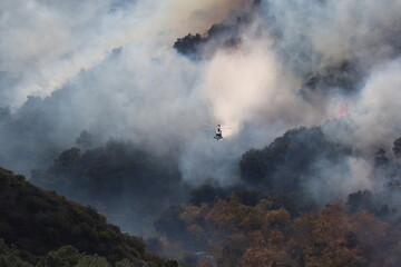 Palisades Wildfire Raging Through California’s Coastal Landscape – Thick Smoke and Scorched Terrain in Los Angeles Wildfire Disaster