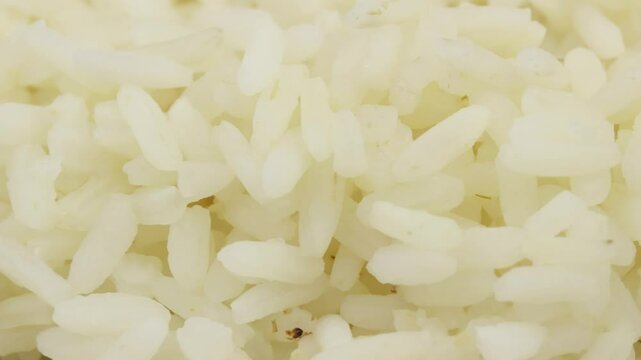 riz blanc cuit, en gros plan