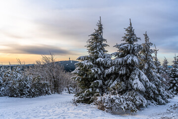 A peaceful winter landscape with snow-covered fir trees, a blooming sky and a tower on a hill against a warm, pastel-colored horizon