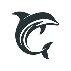dolphin vector illustration