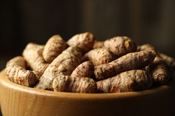 Tumeric rhizomes in bowl on dark background, closeup