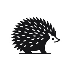 hedgehog on white background