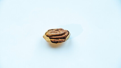 A close-up of an opened pecan nut showcases its rich texture and color against a smooth, homogeneous background. Ideal for highlighting healthy eating or culinary uses. Space available for text.