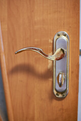 gold handle on the door rudich