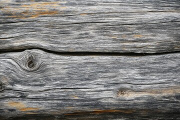 Weathered driftwood texture reveals natural beauty and history of seaside environments