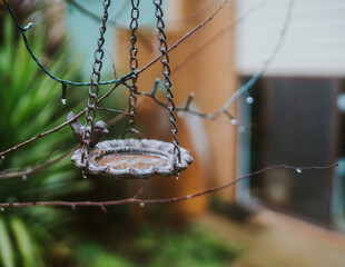 Bird feeder in cosy garden