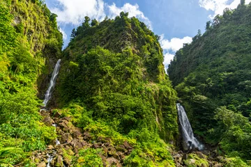Fototapete Wasserfall Dominica, Trafalgar Falls - 7 February 2024 - The spectacular Trafalgar Falls in Dominica  © Stefano
