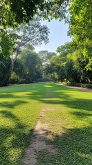 Fototapeta premium Sunlit park path, green grass, trees, tranquil scene, nature backdrop