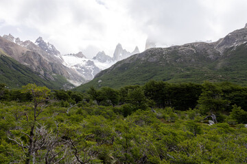 Obraz premium Landscape composed of Patagonian forests and icy mountains