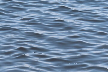 Blue water background texture with soft waves on Florida river