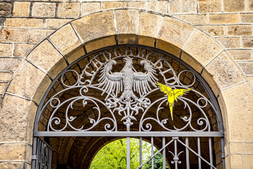 Historic iron gate with double-headed eagle and yellow parrot picture in Aachen