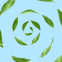 Green leaves swirling in air on light blue background