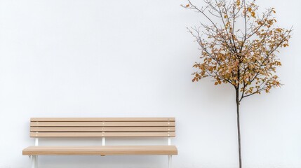 Autumn bench near white wall, bare tree.  Relaxation, urban scene