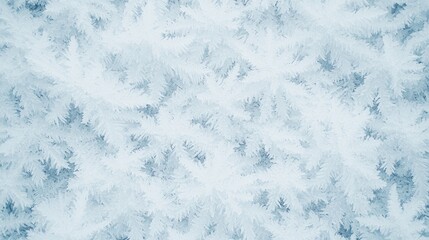 Obraz premium Close-up view of frosted evergreen branches. Perfect for holiday or winter themes