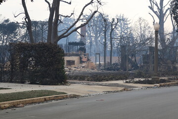 Obraz premium Palisades Wildfire Raging Through California’s Coastal Landscape – Thick Smoke and Scorched Terrain in Los Angeles Wildfire Disaster