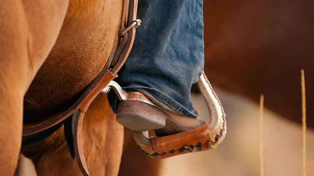 Boot with spur and horse