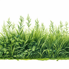 Obraz premium Lush green grass and foliage create vibrant natural landscape, showcasing various shades of green and textures. This illustration evokes sense of tranquility and freshness