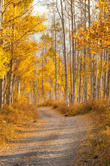 Gravel road in fall color Colorado