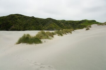 Big Sand Dunes at Wharariki Beach – Majestic Coastal Landscape in New Zealand