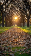 Naklejka premium Where barren trees cast lush floating green shadows