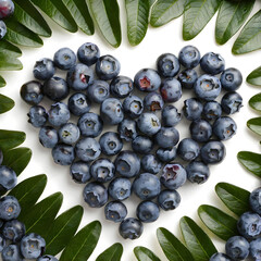 Fresh ripe blueberries in the shape of a heart on a background of green leaves - a natural composition of healthy food and summer harvest with the bright colors of nature, symbolizing the love of frui