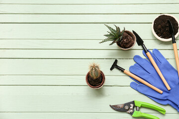 Plants transplanted in peat pot and gardening tools on green wooden background. Top view