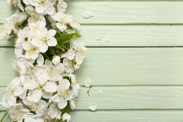 Beautiful blossoming branch and petals on green wooden background