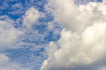 Blue sky background with white clouds. Cumulus clouds in the blue sky.