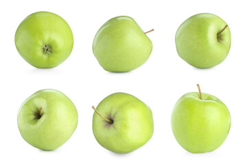 Fresh green apples isolated on white, set