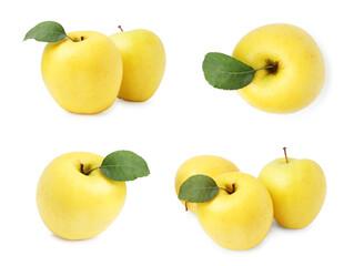 Fresh yellow apples isolated on white, set