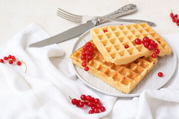 Plate with sweet Belgian waffles and fresh red currants on white background