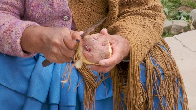 close-up of an elderly cholita woman in pollera peeling potatoes with a knife in the backyard of her house - housework concept