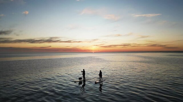 Dogs and Couple on stand up paddle boards at Beach Aspendale VIC Australia