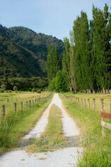 Long Rural Gravel Road in a Green Pasture Scenery – Peaceful Countryside Landscape