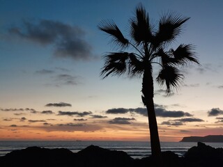 Sunset with a Palm Tree at the beach