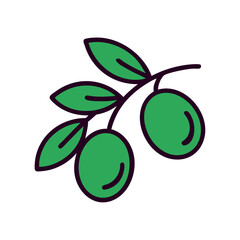 Italian olives branch with green fruits