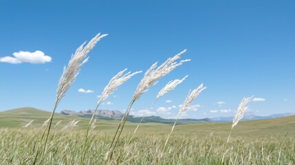 Obraz premium Prairie Grass Wind Mountains Sky Summer Landscape