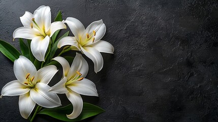 White lilies sympathy card background