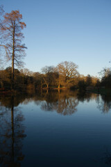 Lake at Kew Gardens, London England