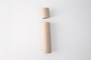 cardboard tube, empty roll from paper towels. craft materials used for DIY projects or educational activities.