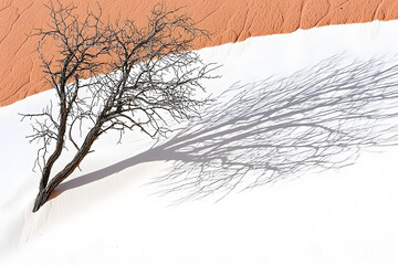 bare tree in winter
