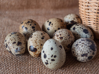 Fototapeta premium Fresh Quail Eggs for Culinary Delights and Nutrition