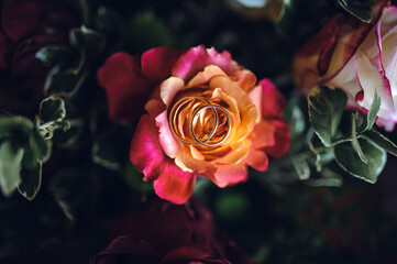 Two golden wedding rings delicately placed in the center of a beautiful rose, surrounded by...