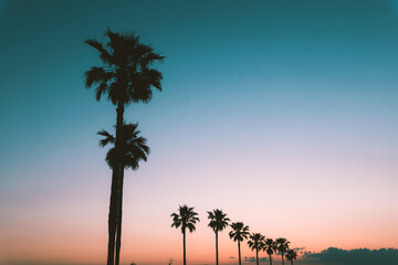 Obraz premium A stunning tropical sunset with a breathtaking gradient sky