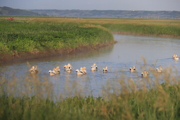 The Qu'Appelle River area scenery