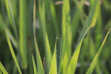 The Qu'Appelle River area scenery